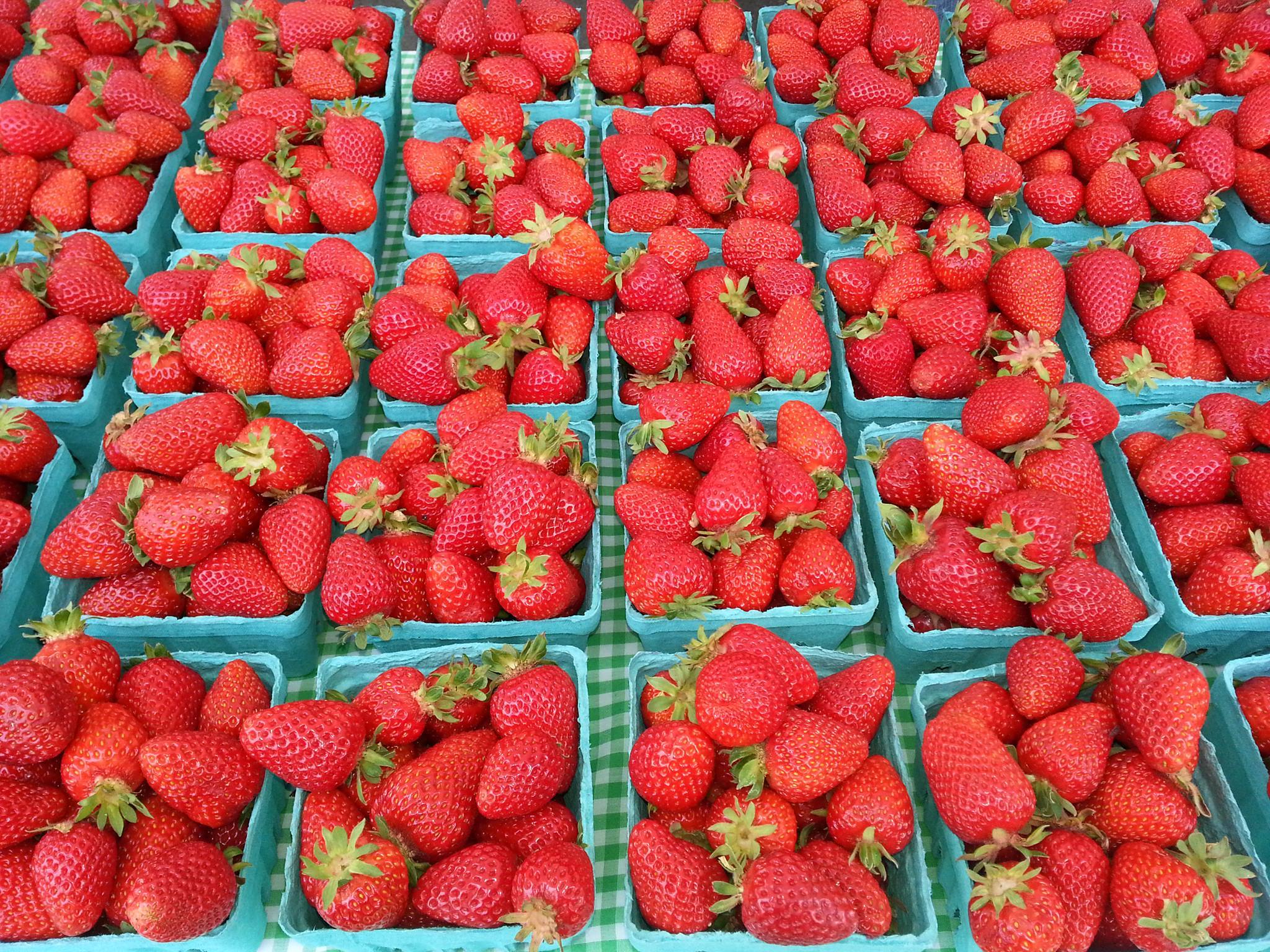 Hillsboro Oregon Farmers Market 2019